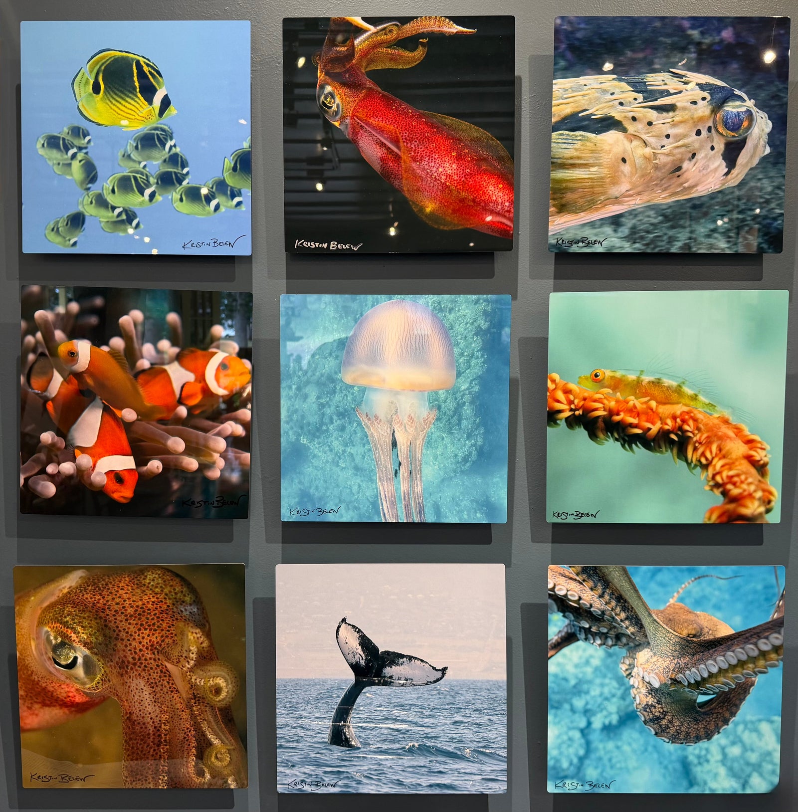 Metal Photography Prints