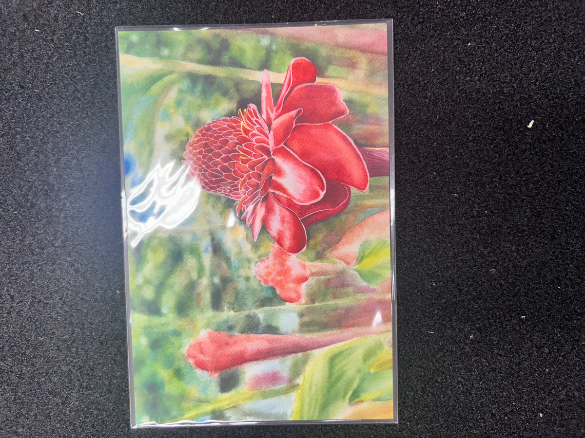 Poshiki: Torch Ginger Postcard