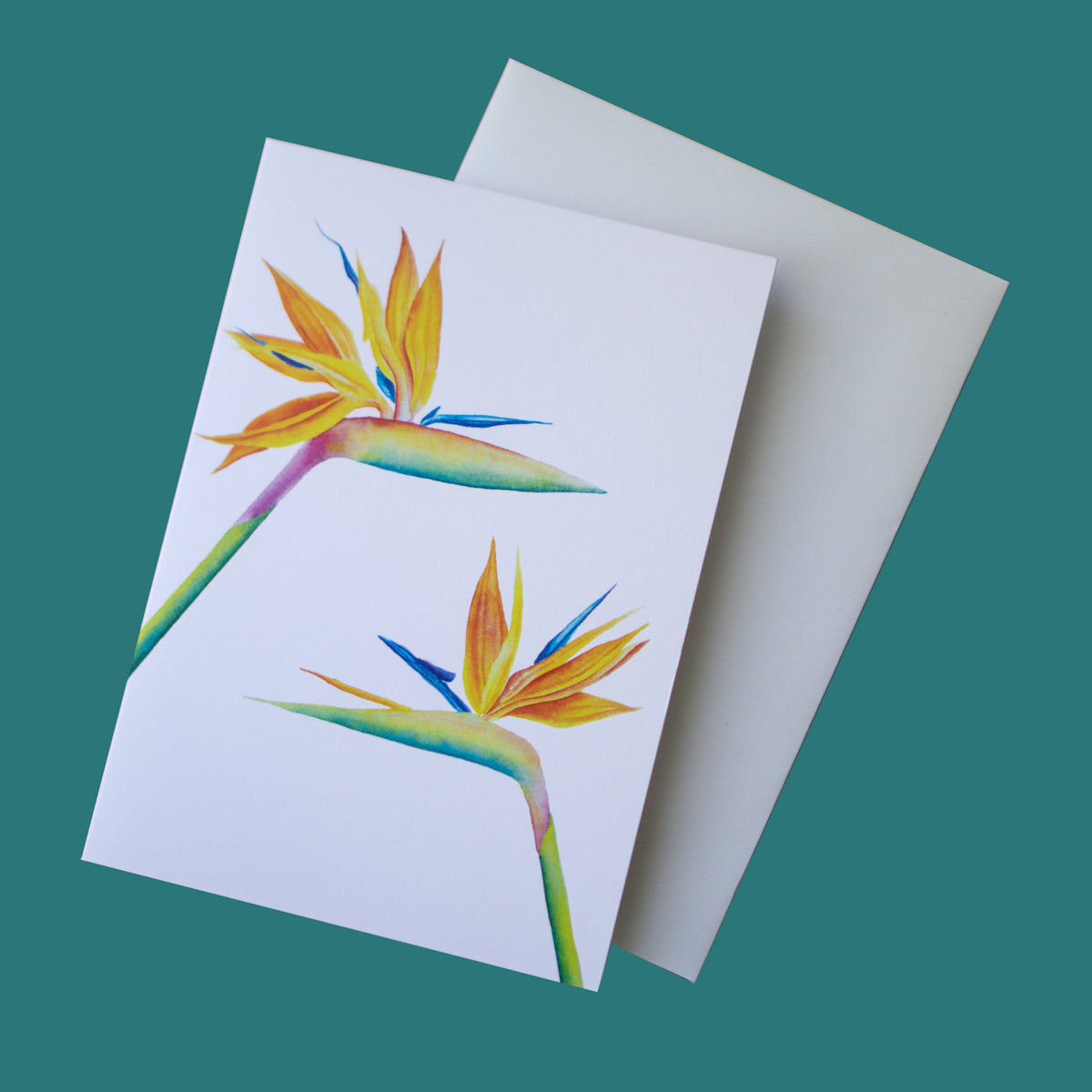 Poshiki: Bird Of Paradise Greeting Card