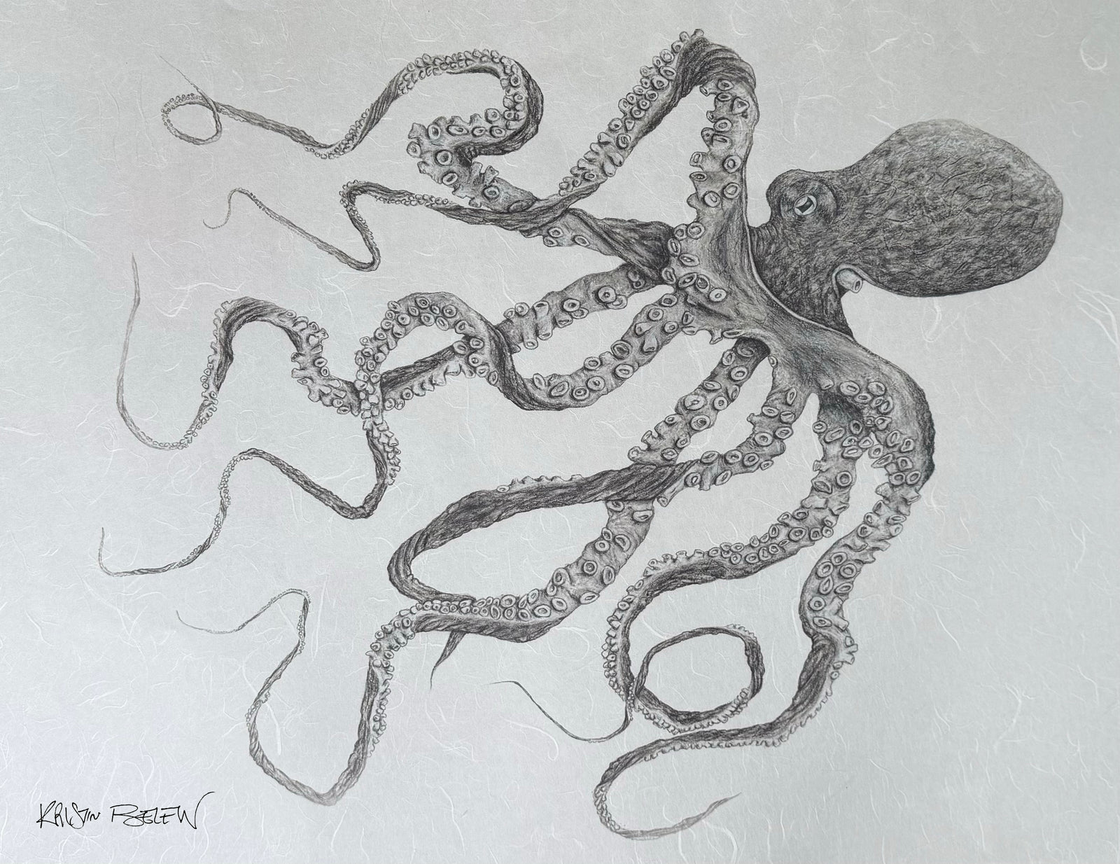 Kristin Belew: "Calypso"  The Day Octopus Gyotaku