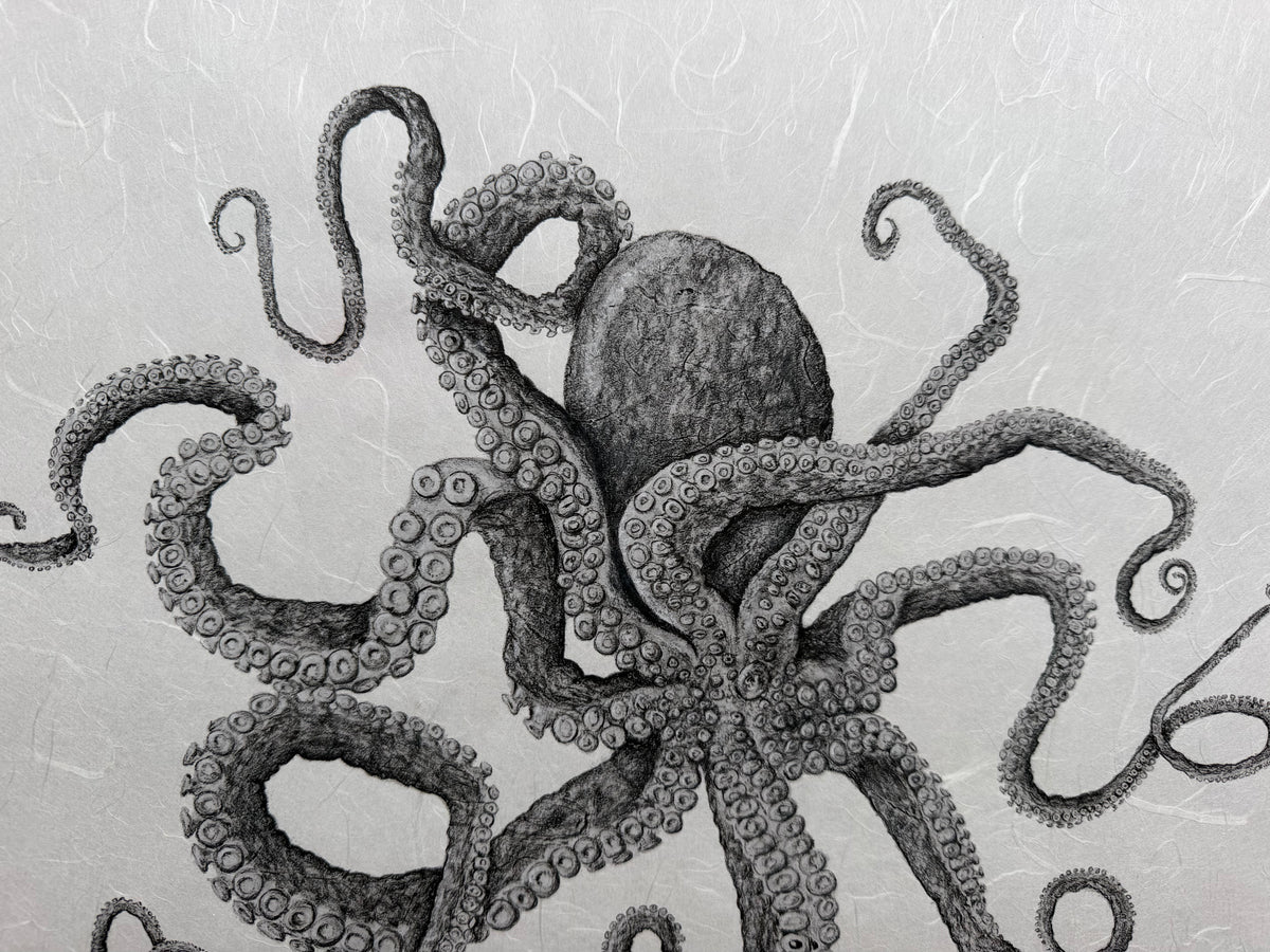 Kristin Belew: "Ferris " The Octopus Gyotaku