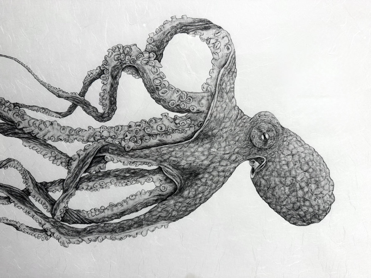 Kristin Belew: "Oz" The Octopus Gyotaku