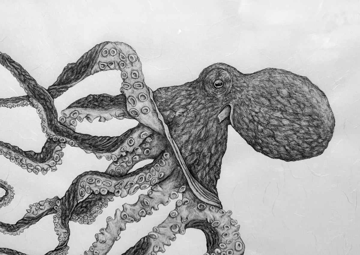 Kristin Belew: "Poʻohiwi" The Octopus Gyotaku