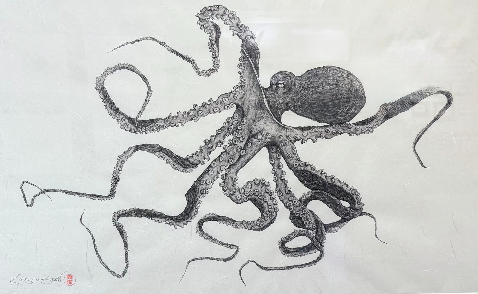 Kristin Belew: "Tako Bob" The Octopus Gyotaku