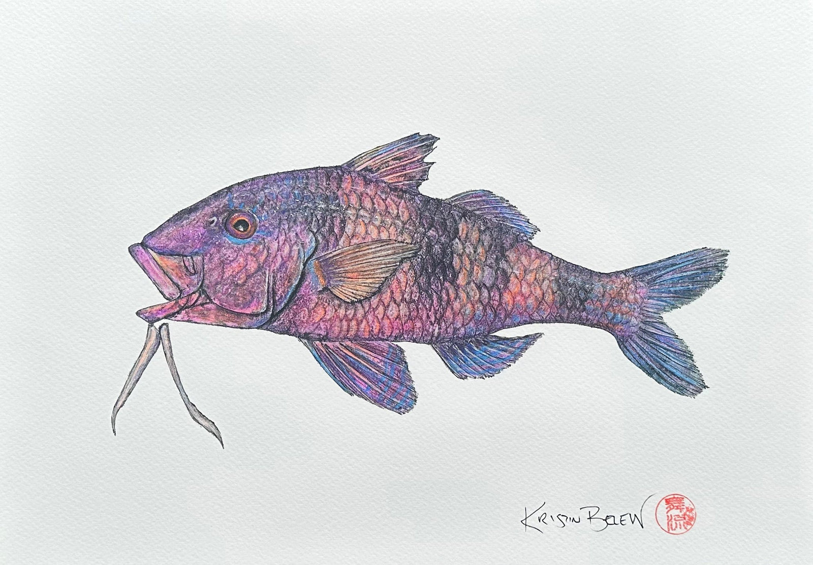 Kristin Belew: "Mo" the Moano - Manybar Goatfish