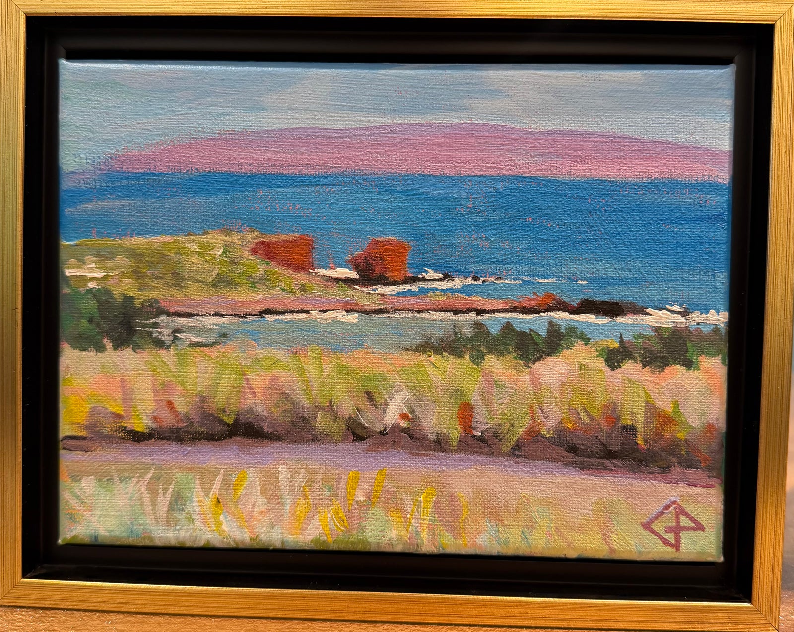Charlie Palumbo: "Hulopoʻe #52"