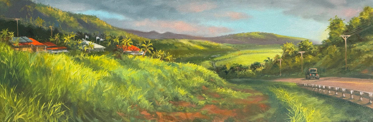 Mike Carroll "Hulopo`e Bound"