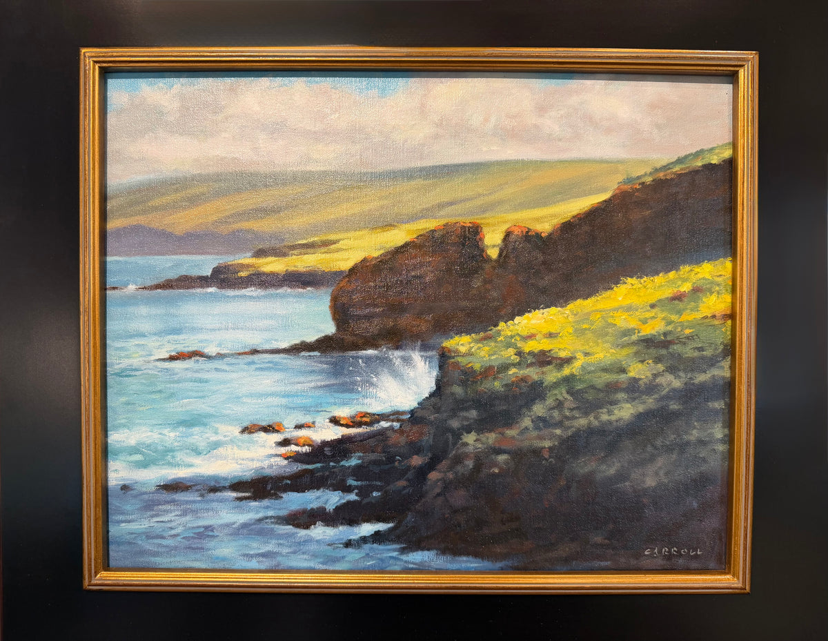 Mike Carroll "Force of Nature"