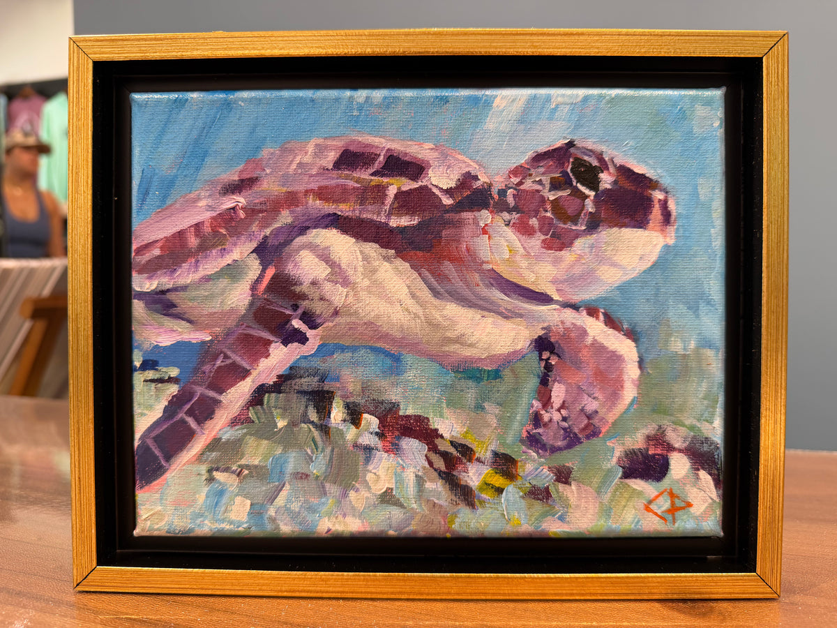 Charlie Palumbo: "Honu #4"