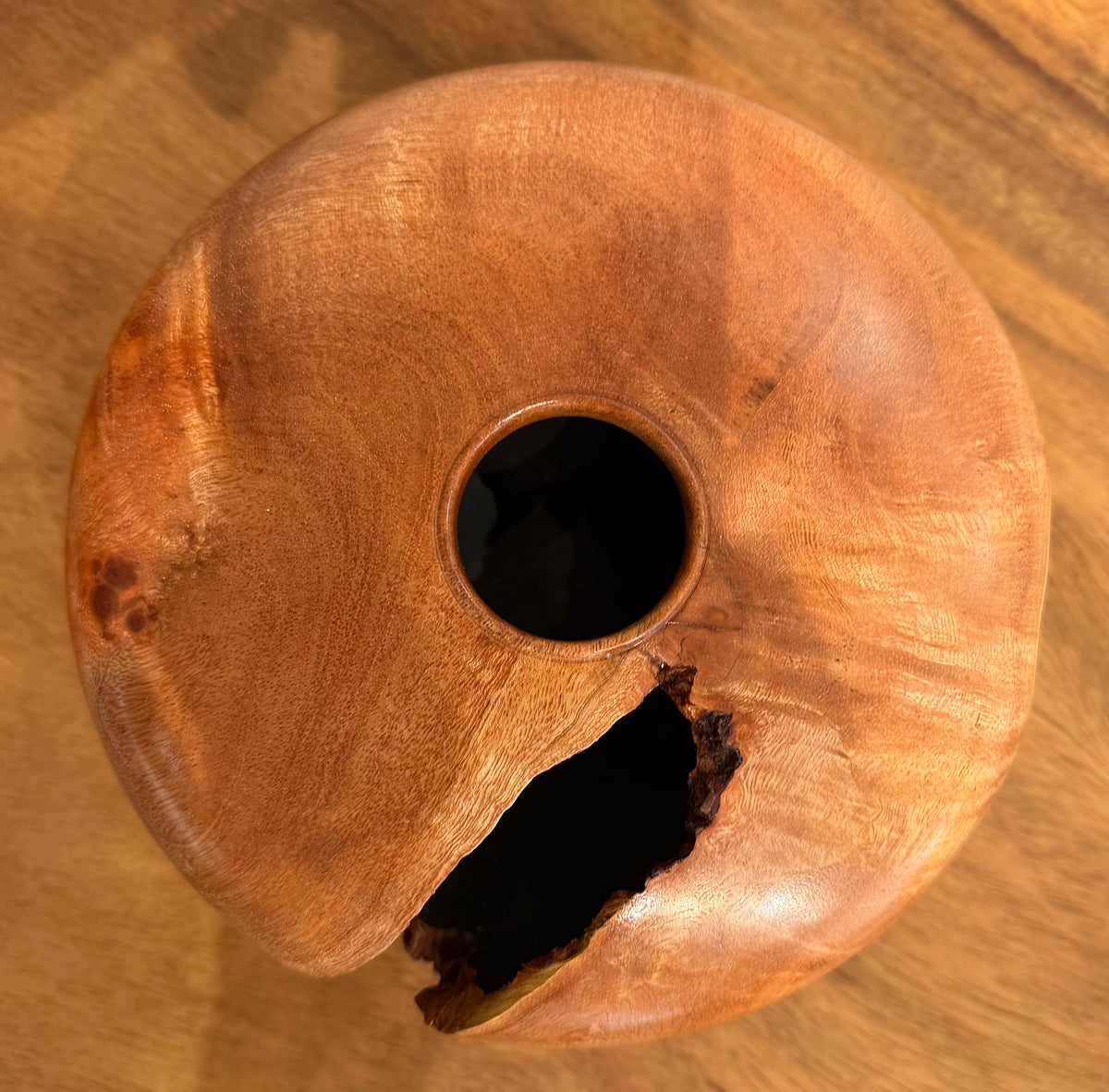 Craig Mason: Opiuma Hollow Form With Natural Voids in the Surface