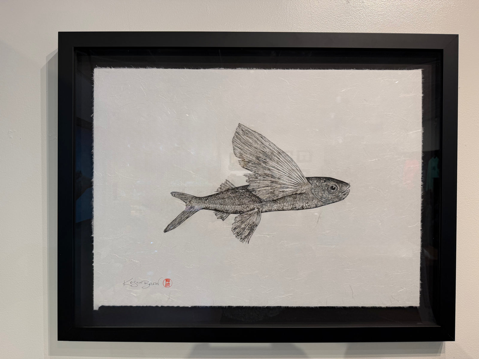 Kristin Belew: "Young Bro" The Malolo Original Gyotaku