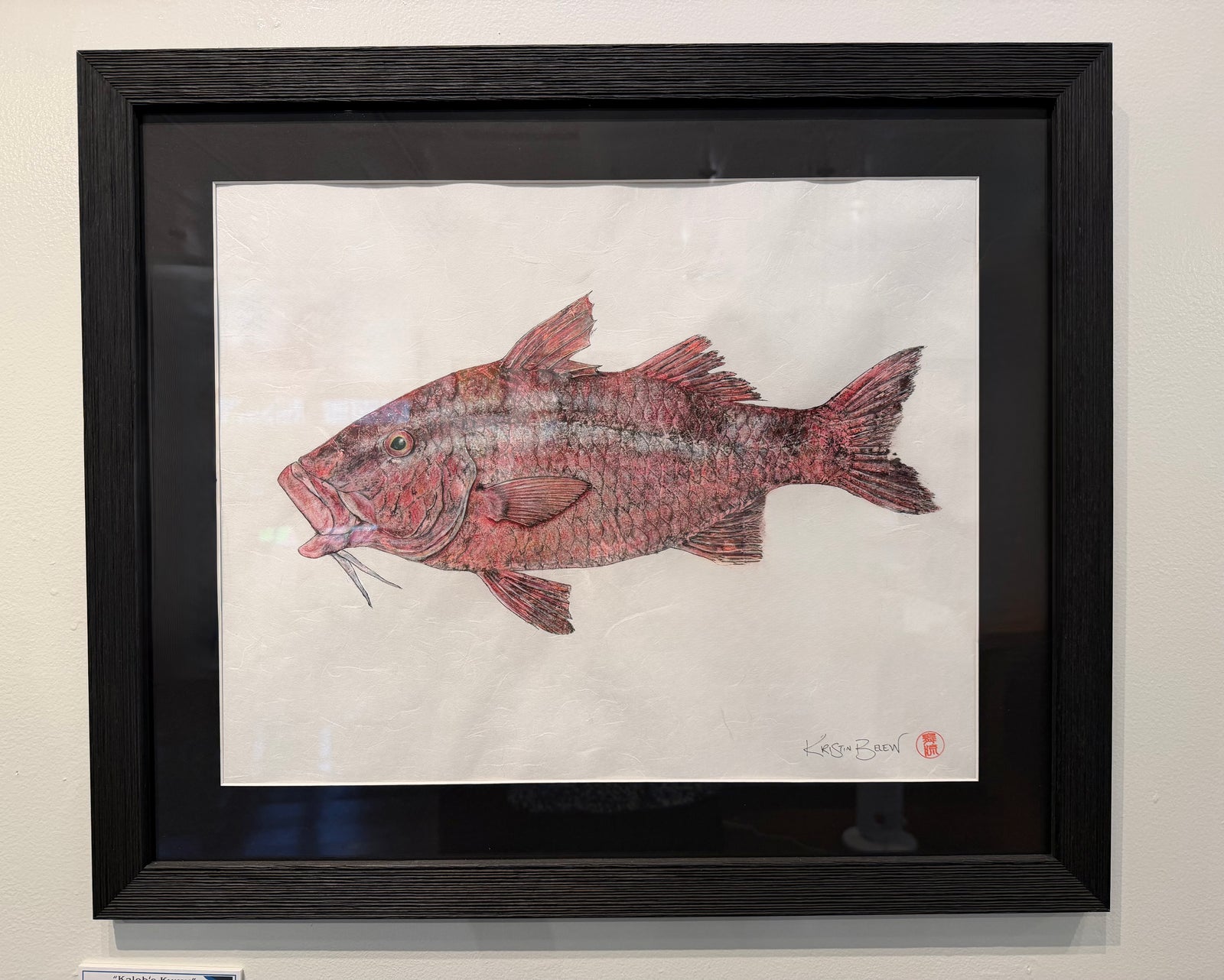Kristin Belew: Framed "Kalebʻs Kumu" Original Gyotaku Framed