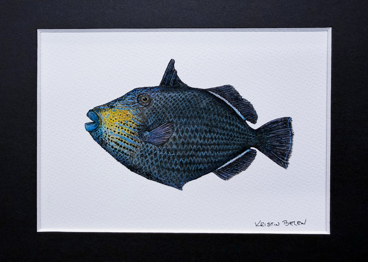 Ready-to-Frame Prints: Kristin Belew "Ella" 8x10