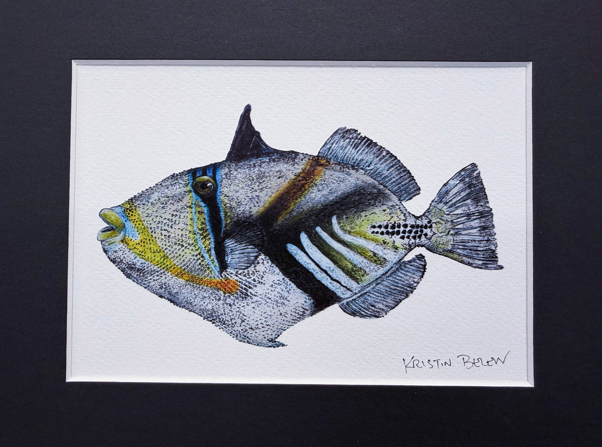 Ready-to-Frame Prints: Kristin Belew "Kamapuaʻa" 8x10