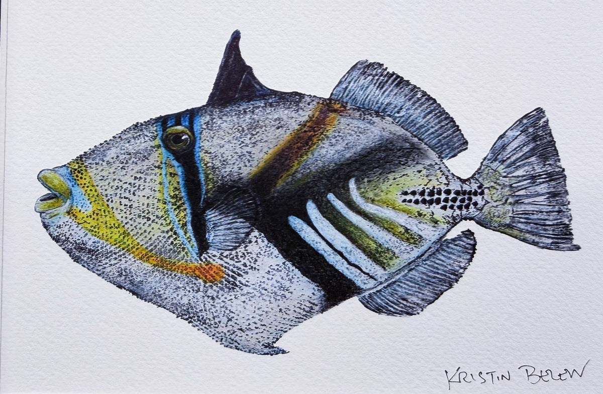 Ready-to-Frame Prints: Kristin Belew "Kamapuaʻa" 8x10