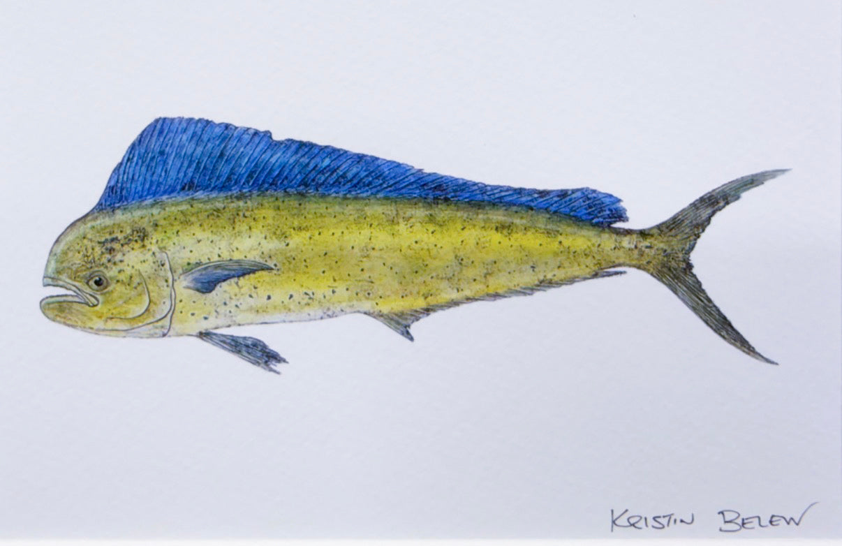 Ready-to-Frame Prints: Kristin Belew "Geraldine" 8x10
