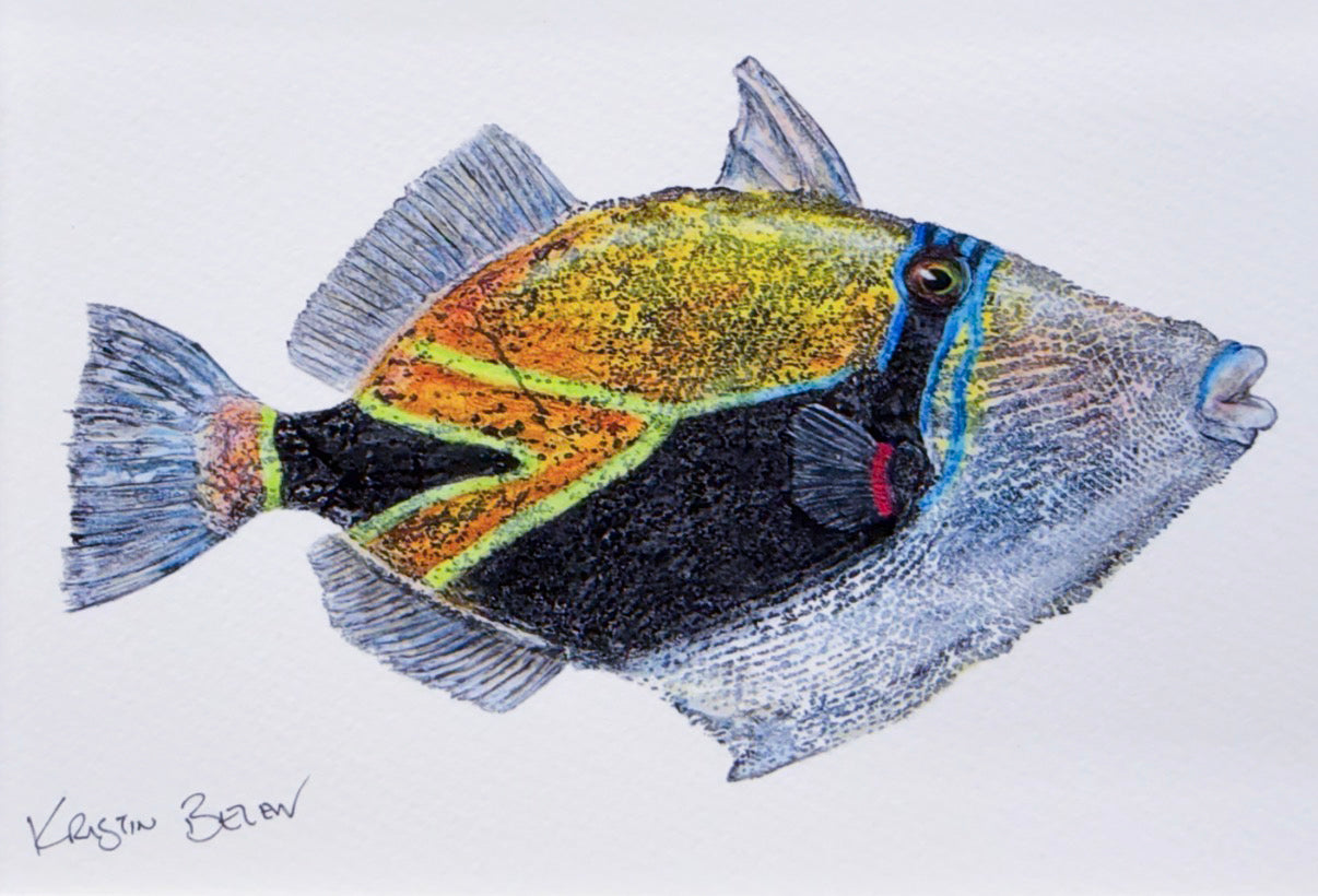 Ready-to-Frame Prints: Kristin Belew "Laverne" 8x10
