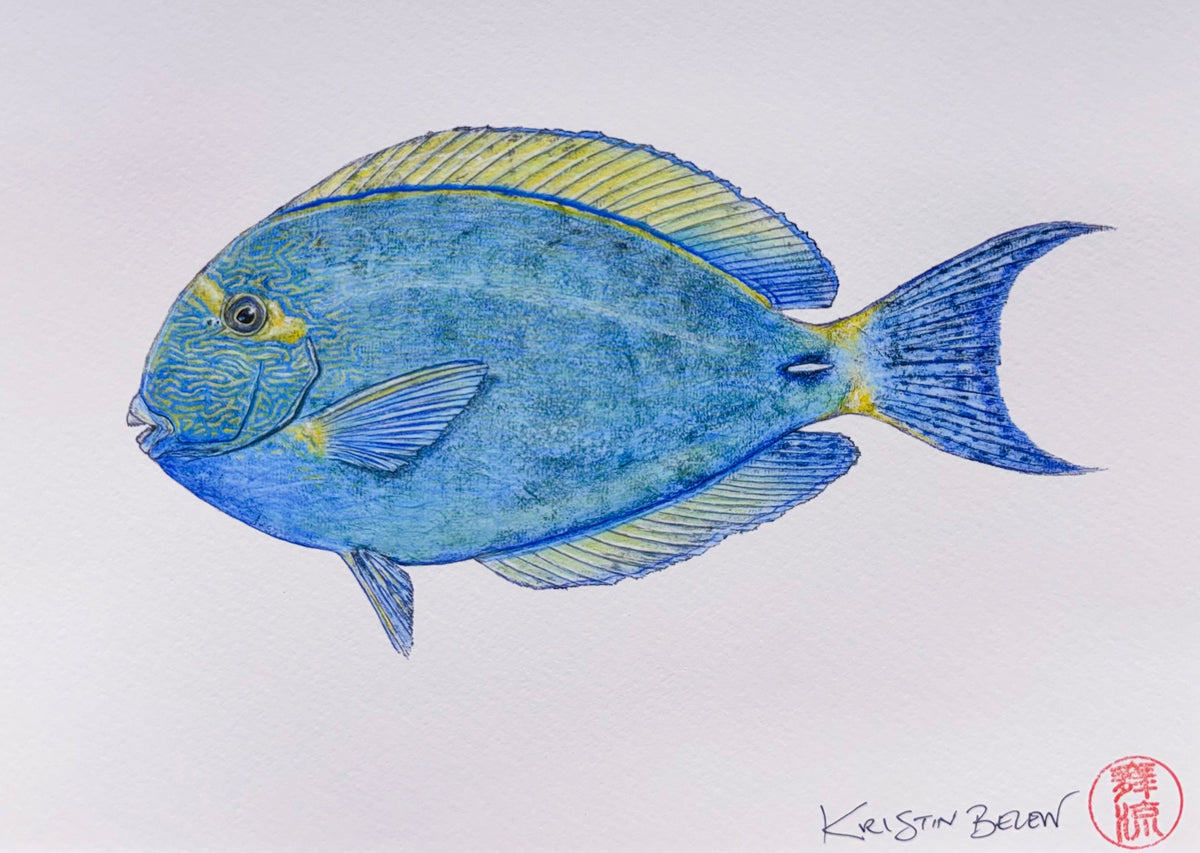 Ready-to-Frame Prints: Kristin Belew "Paula the Palani"