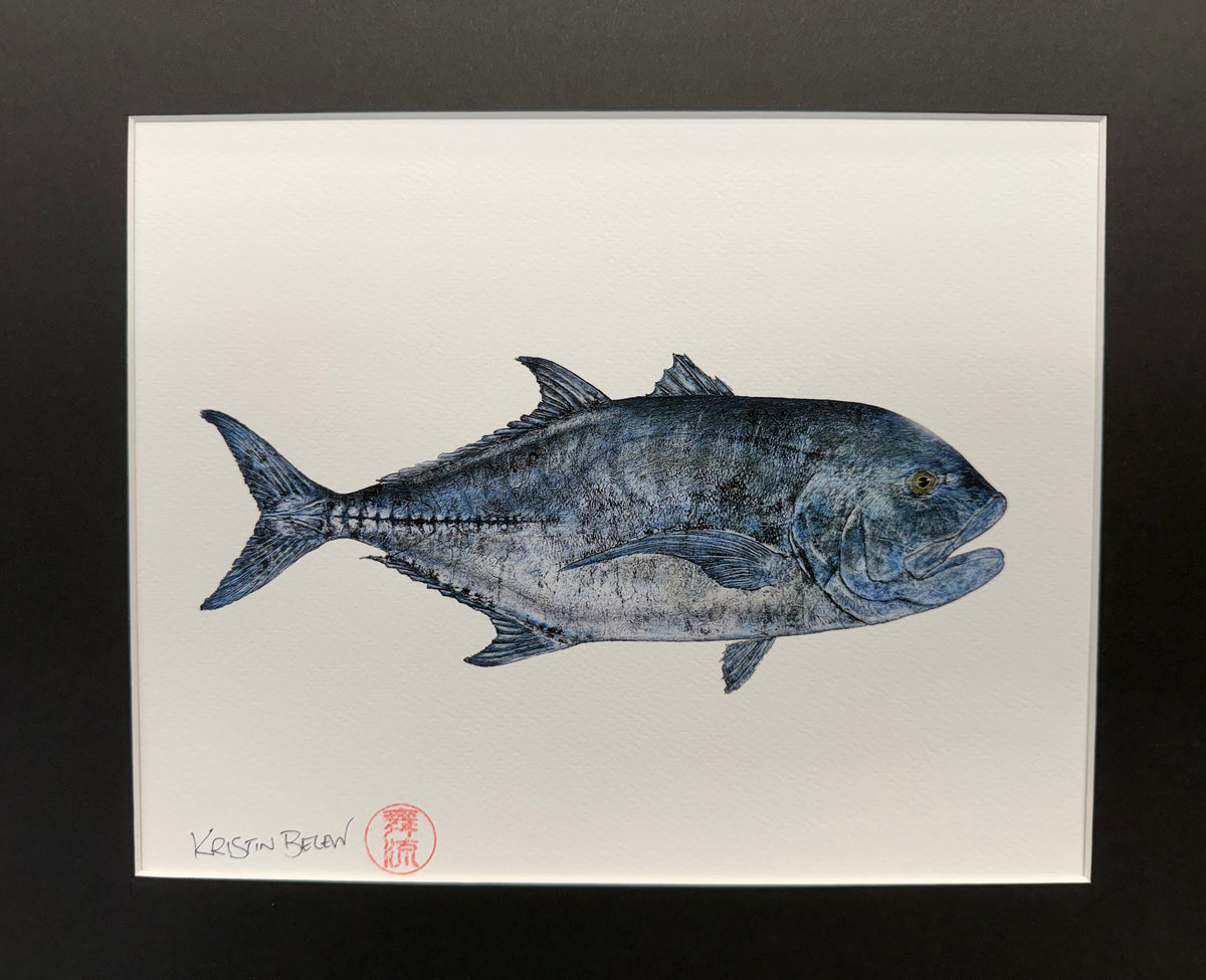 Ready-to-Frame Prints: Kristin Belew "Terrence the Ulua"