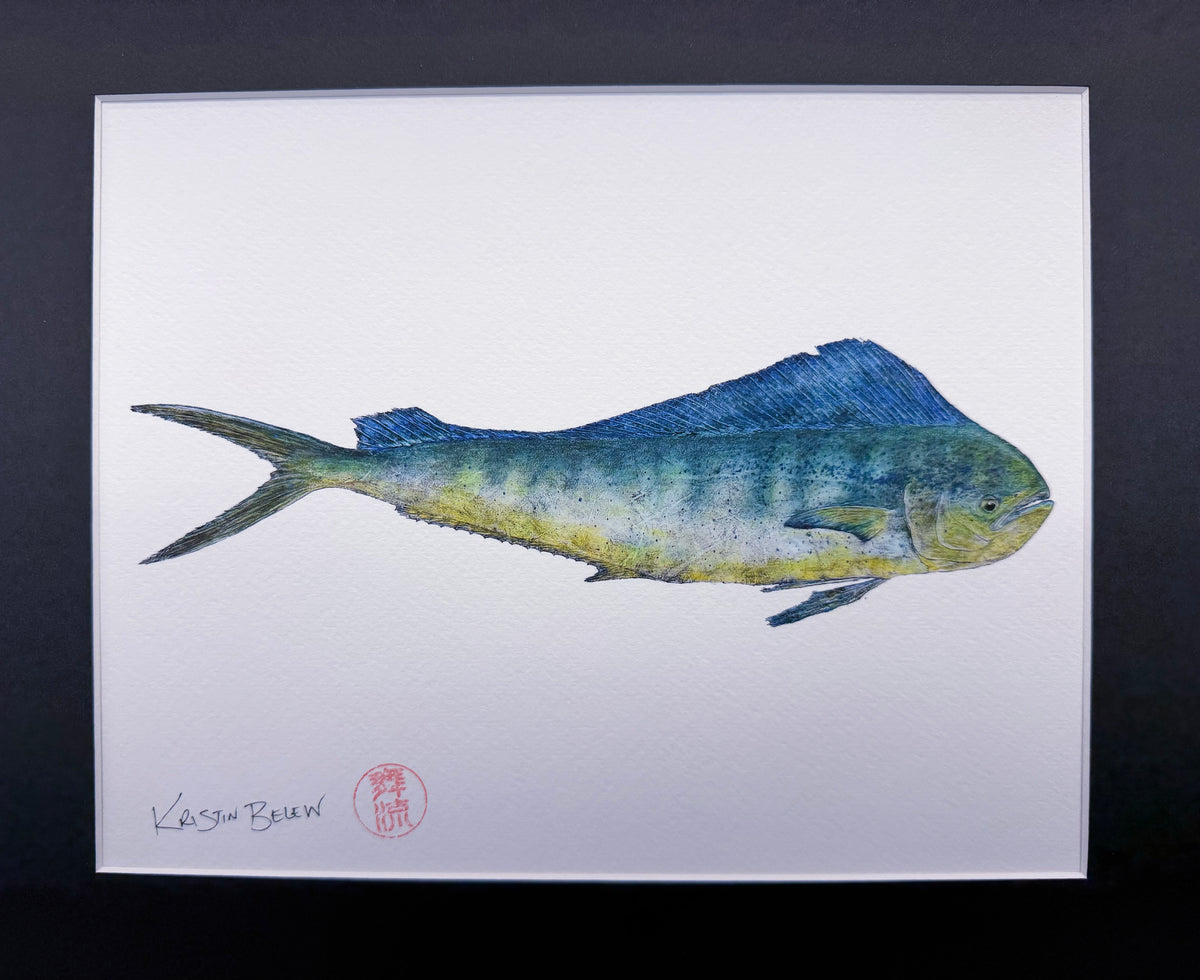 Ready-to-Frame Prints: Kristin Belew "Mango" the Mahi mahi
