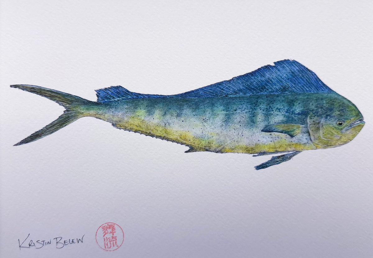 Ready-to-Frame Prints: Kristin Belew "Mango" the Mahi mahi