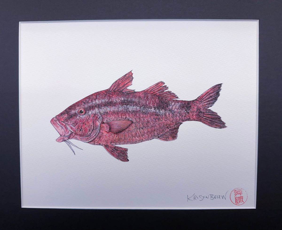 Ready-to-Frame Prints: Kristin Belew "Kalebʻs Kumu" 11x14
