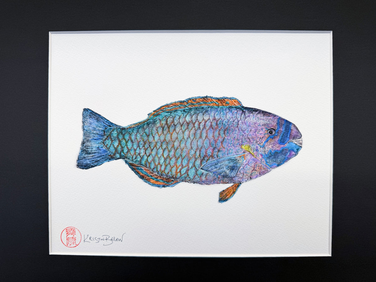 Ready-to-Frame Prints: Kristin Belew "Skittles" The parrotfish