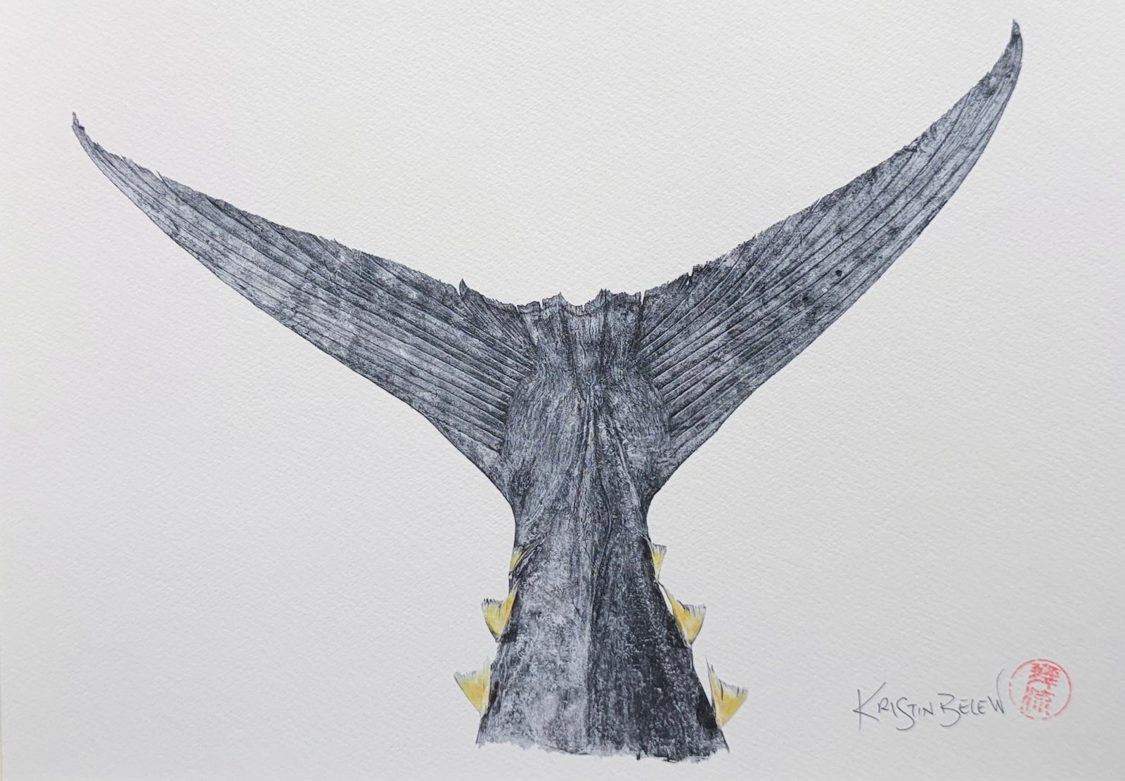 Ready-to-Frame Prints: Kristin Belew "150 lb Ahi Tail with Finlets"