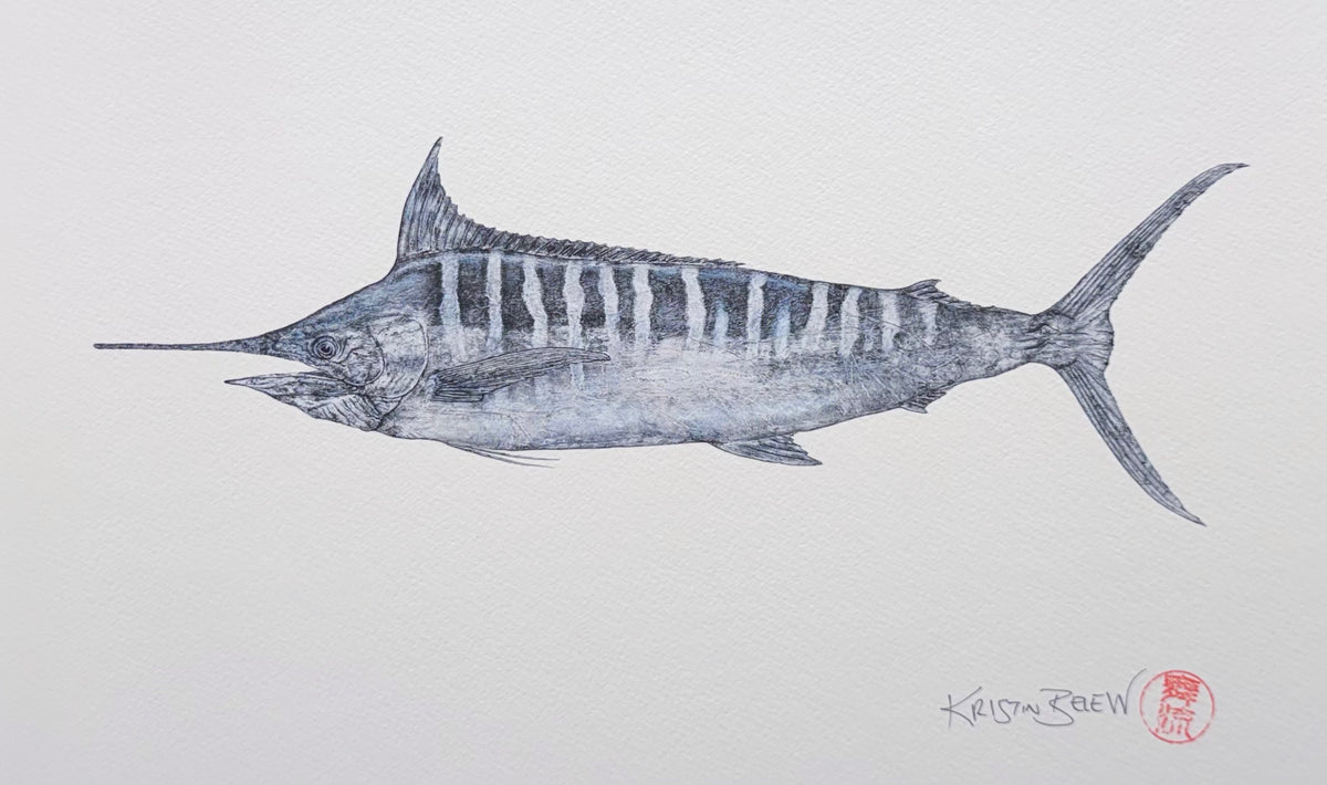 Ready-to-Frame Prints: Kristin Belew "Marge" the Marlin B&amp;W 16x20