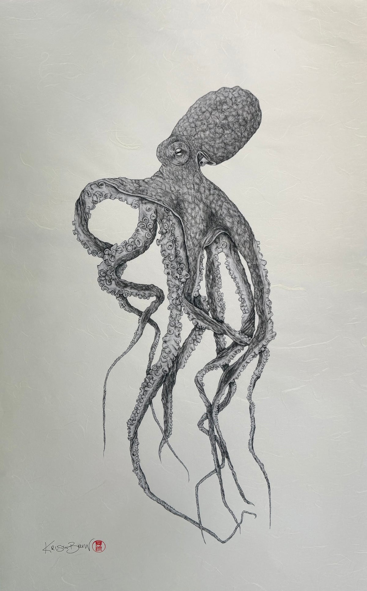 Kristin Belew: "Oz" The Octopus Gyotaku