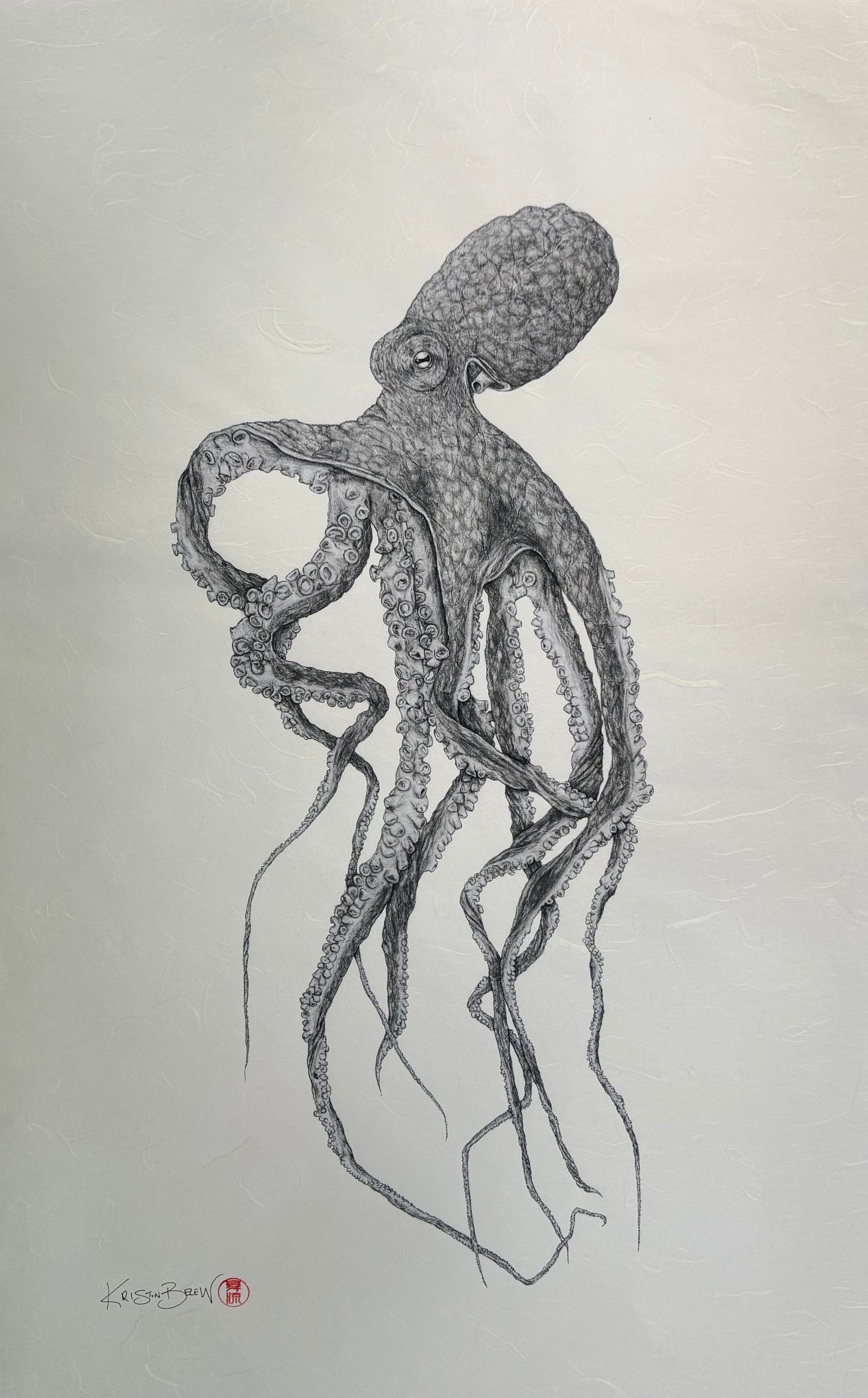 Kristin Belew: "Oz" The Octopus Gyotaku