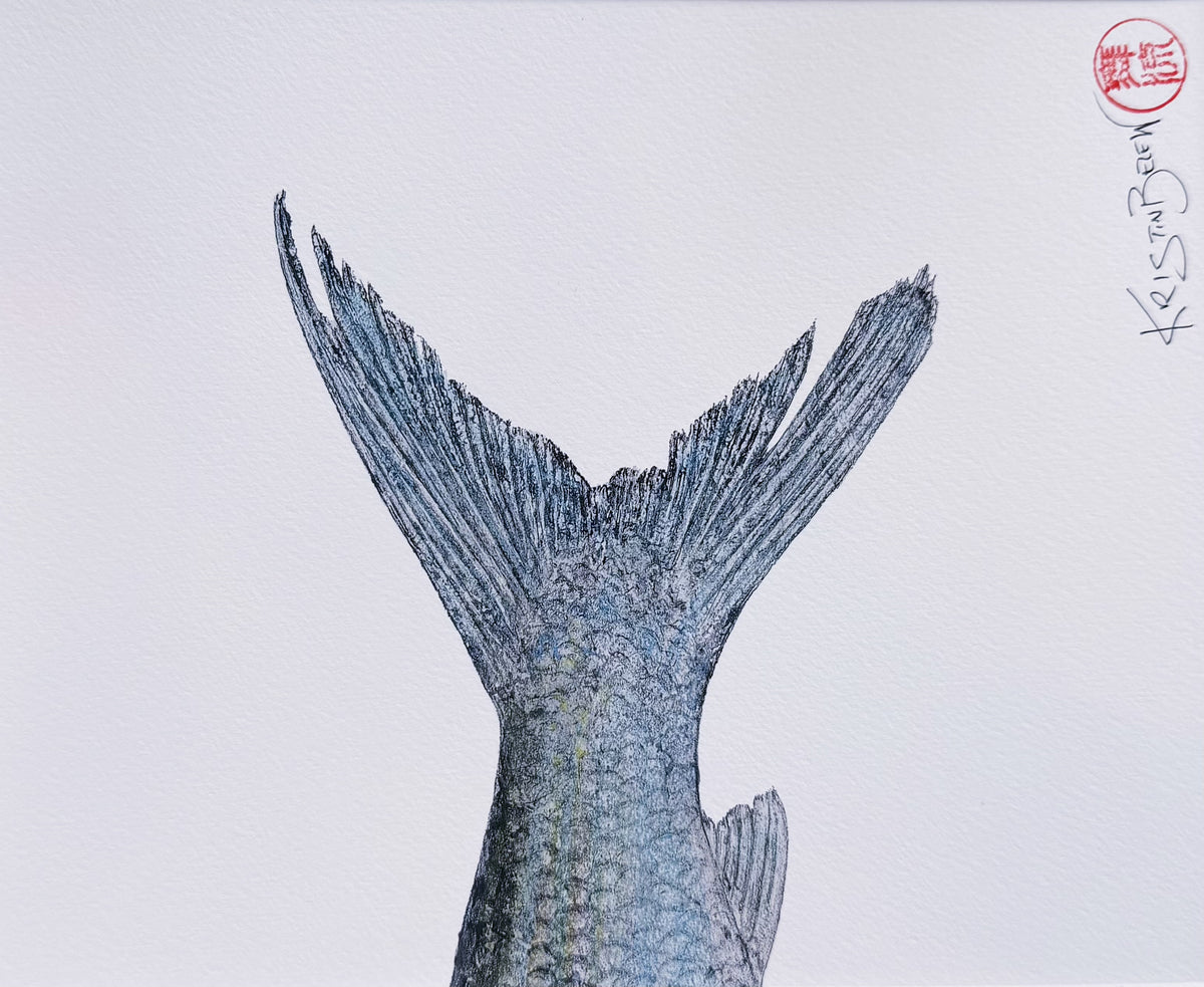 Ready-to-Frame Prints: Kristin Belew "Just the Tail" Bonefish- Peytonʻs