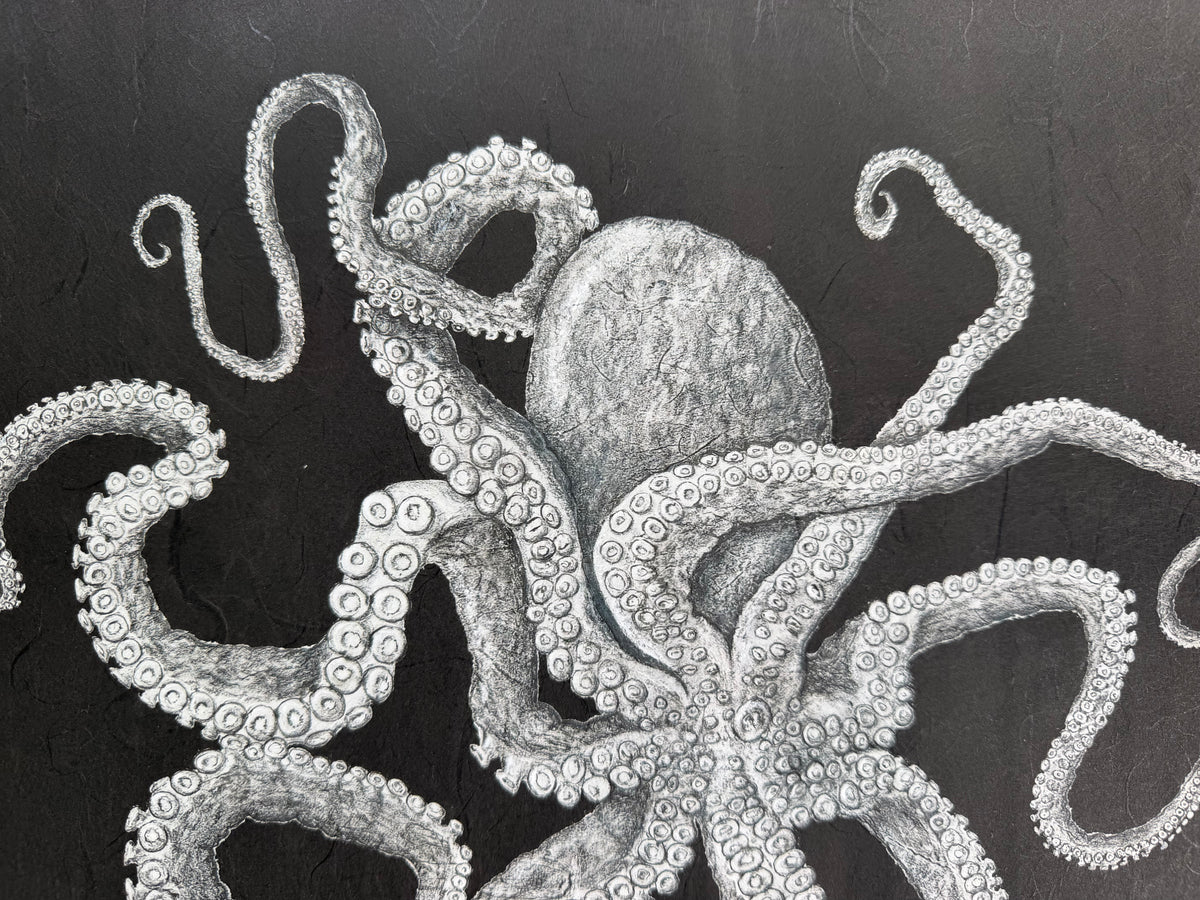 Kristin Belew: "Ferris at Night" The Octopus Gyotaku