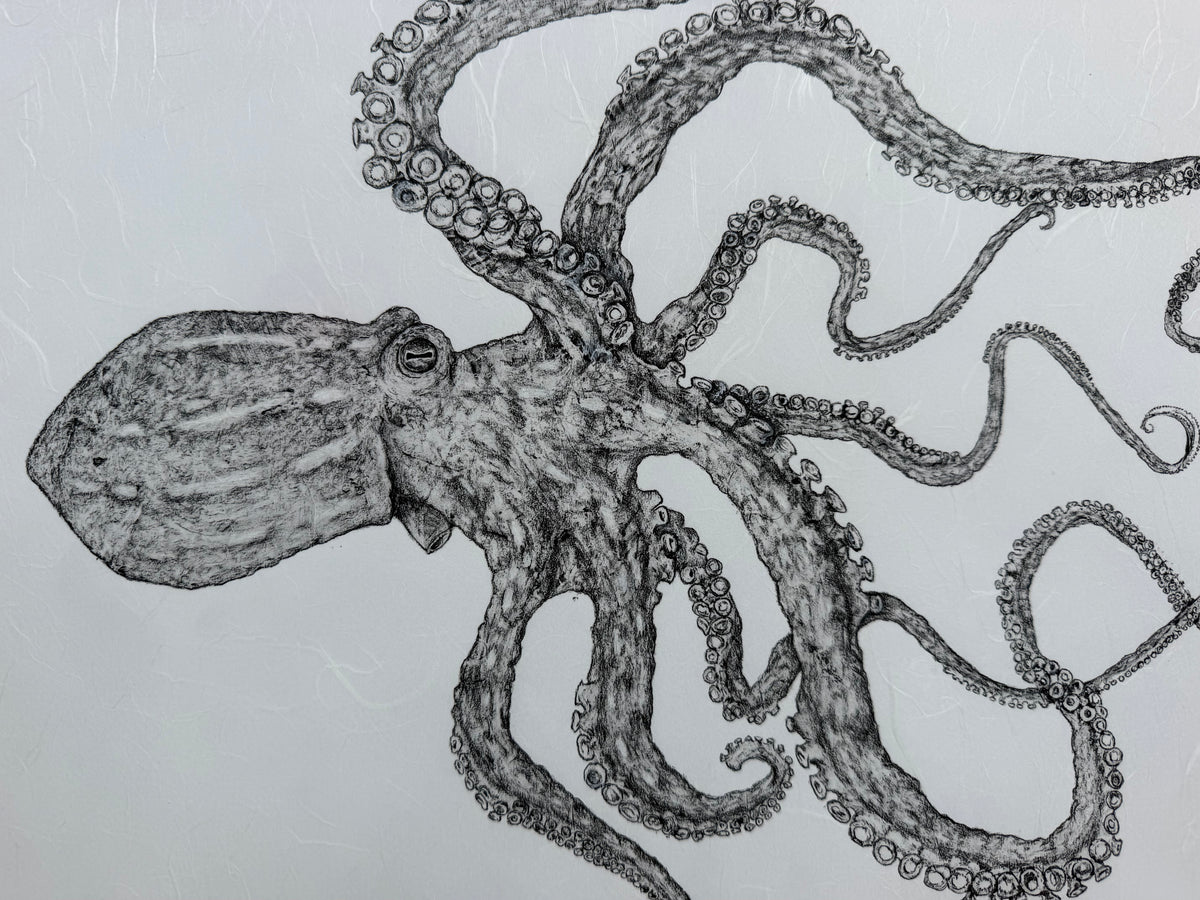 Kristin Belew: "Florence" The Octopus Gyotaku
