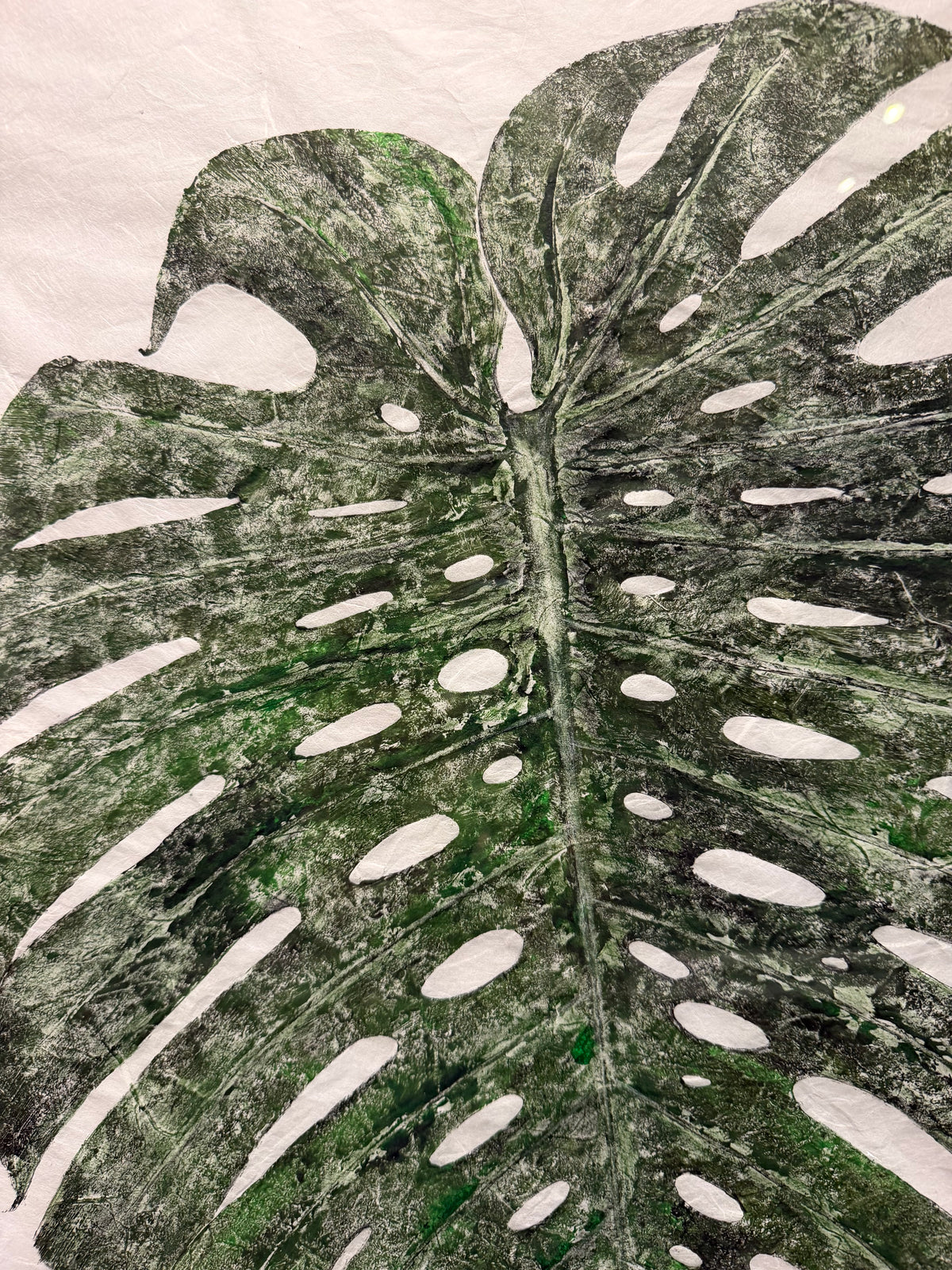 Kristin Belew: "Monsta Monstera"