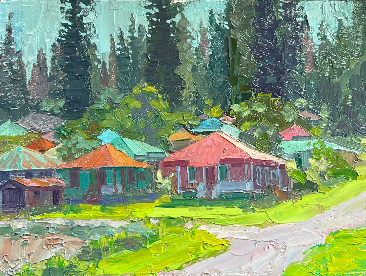Billyo O'Donnell:  "Rooftops, Lana'i Hawaii"