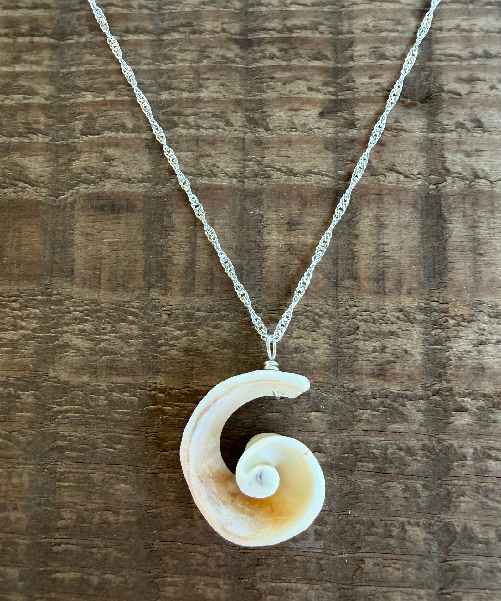 Kristin Belew: Cone Shell Swirl 1