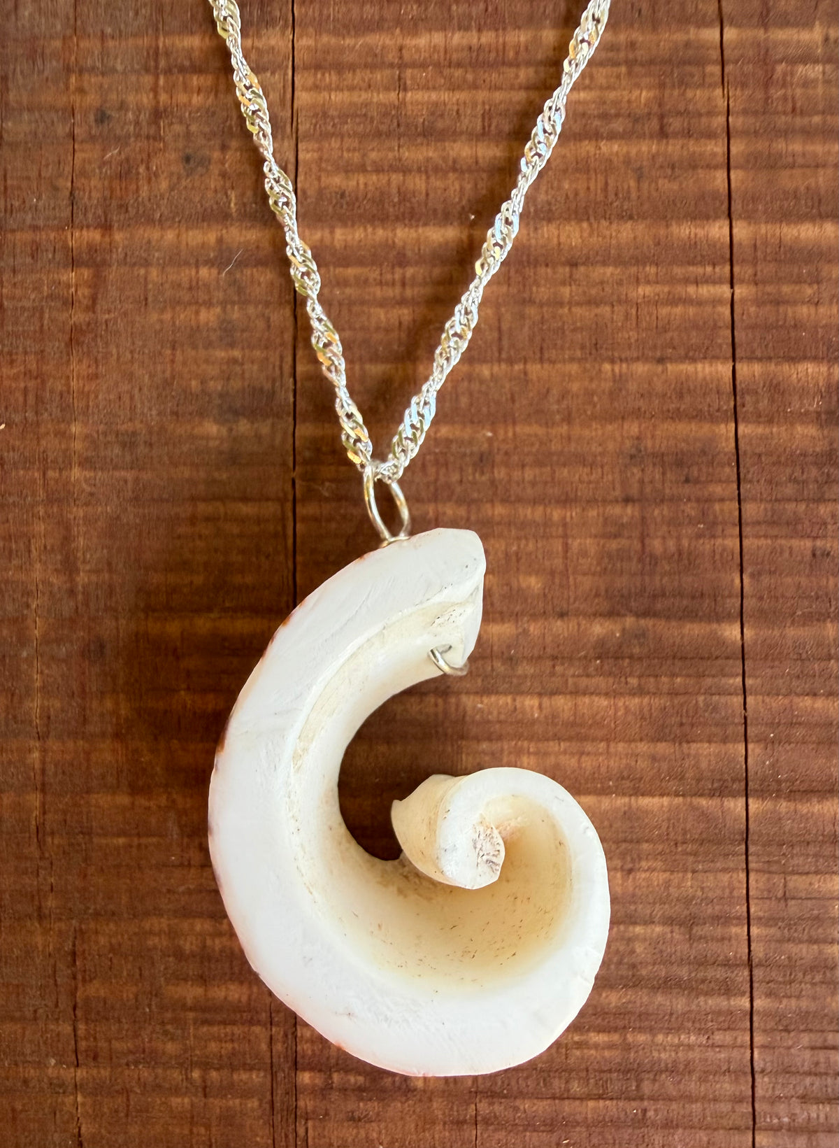 Kristin Belew: Striated Cone Shell Swirl 2