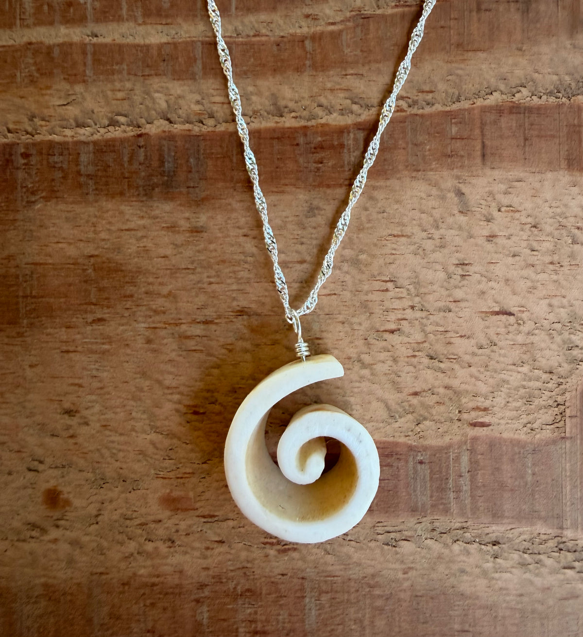 Kristin Belew: Striated Cone Shell Swirl 1