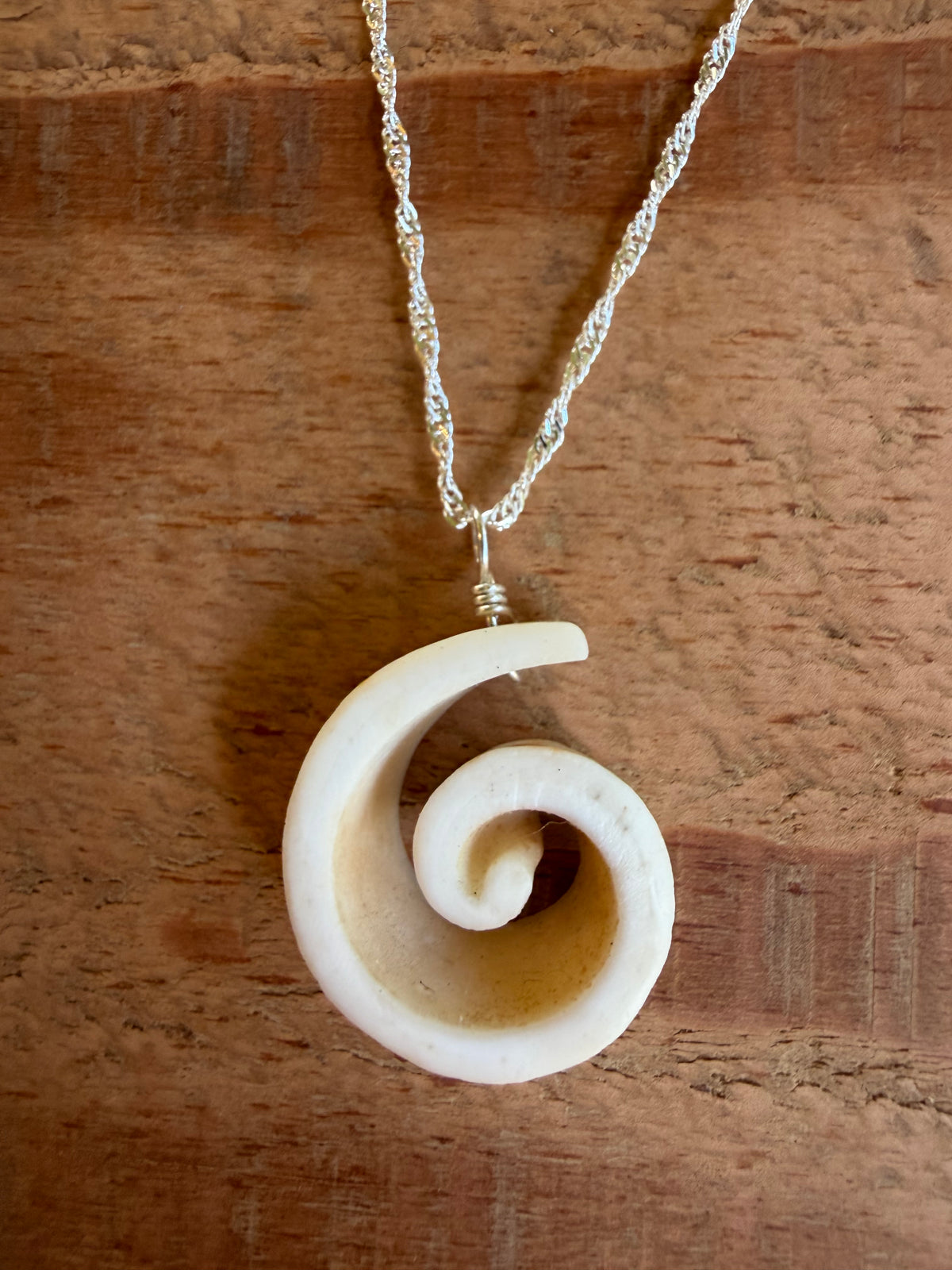 Kristin Belew: Striated Cone Shell Swirl 1