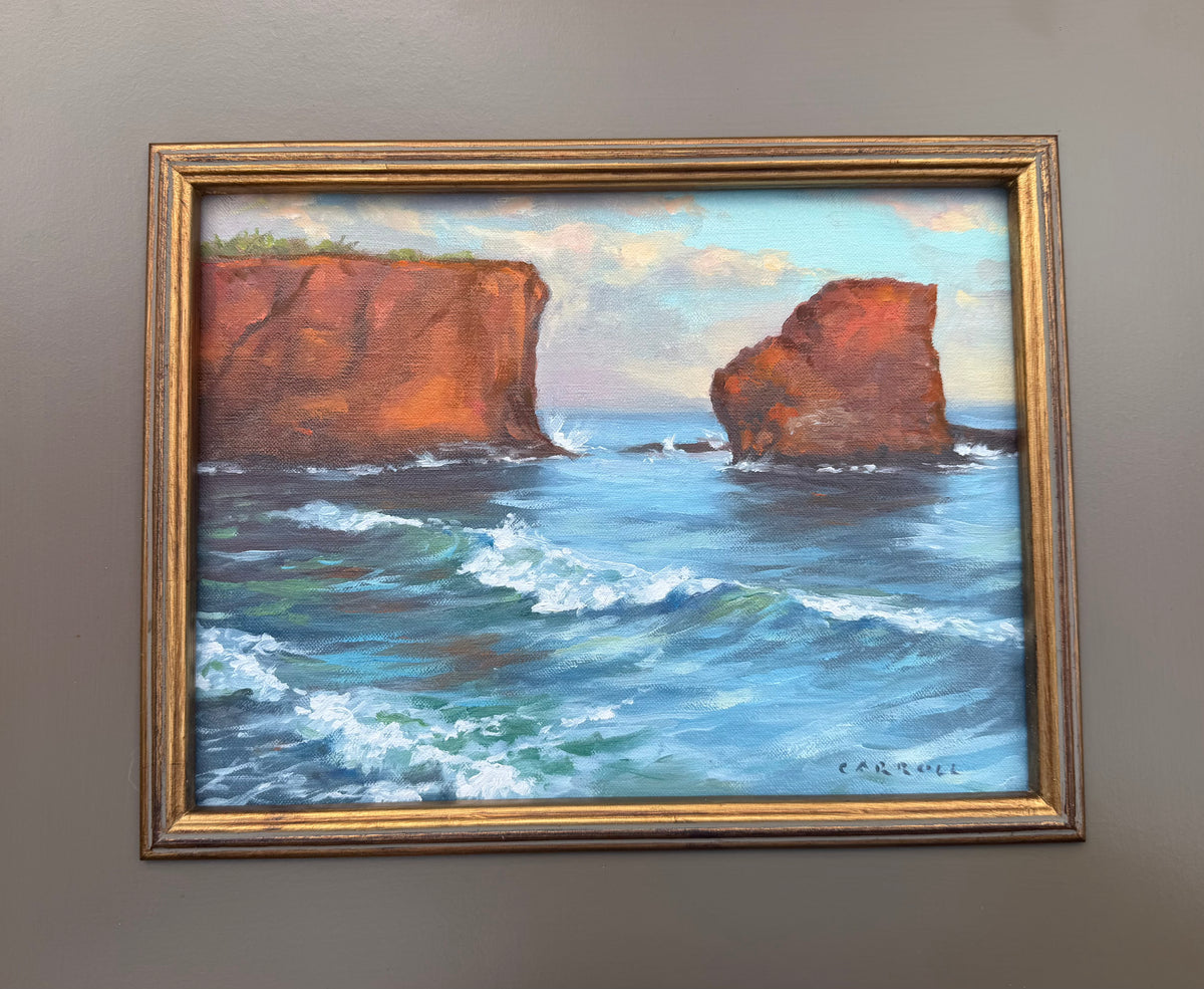 Mike Carroll "Swift Surf"