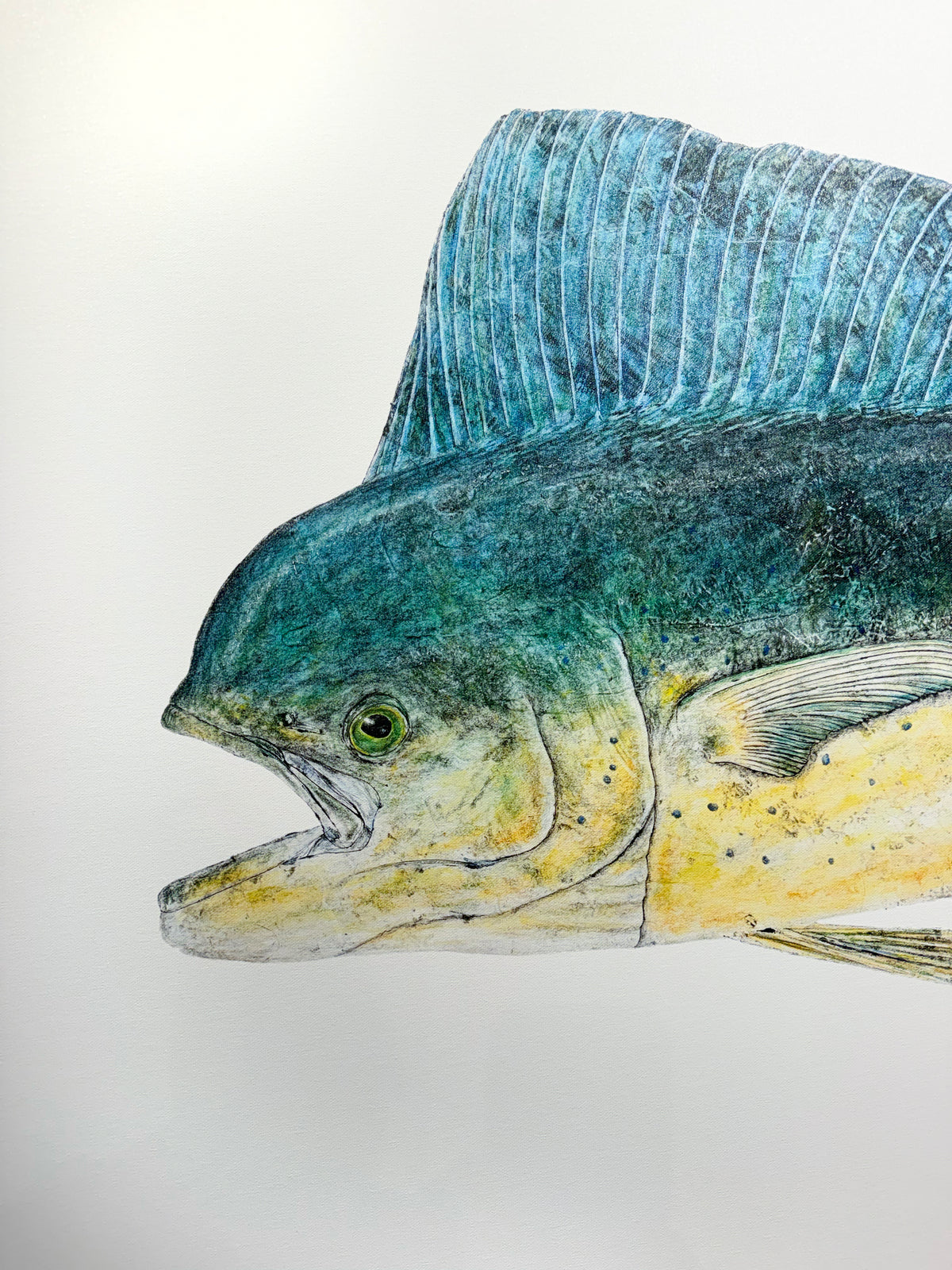 Kristin Belew: "Schmitʻs Mahi" DIPTYCH on Canvas