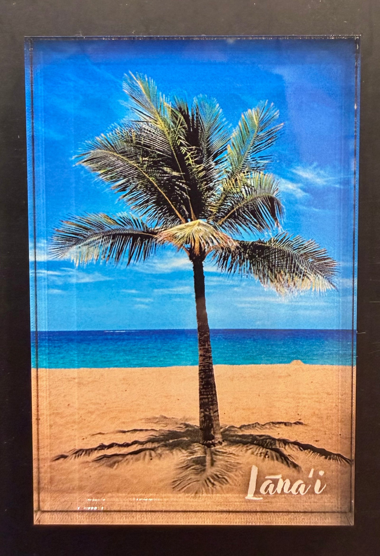 Deep Hawaii Art Palm Tree Magnets
