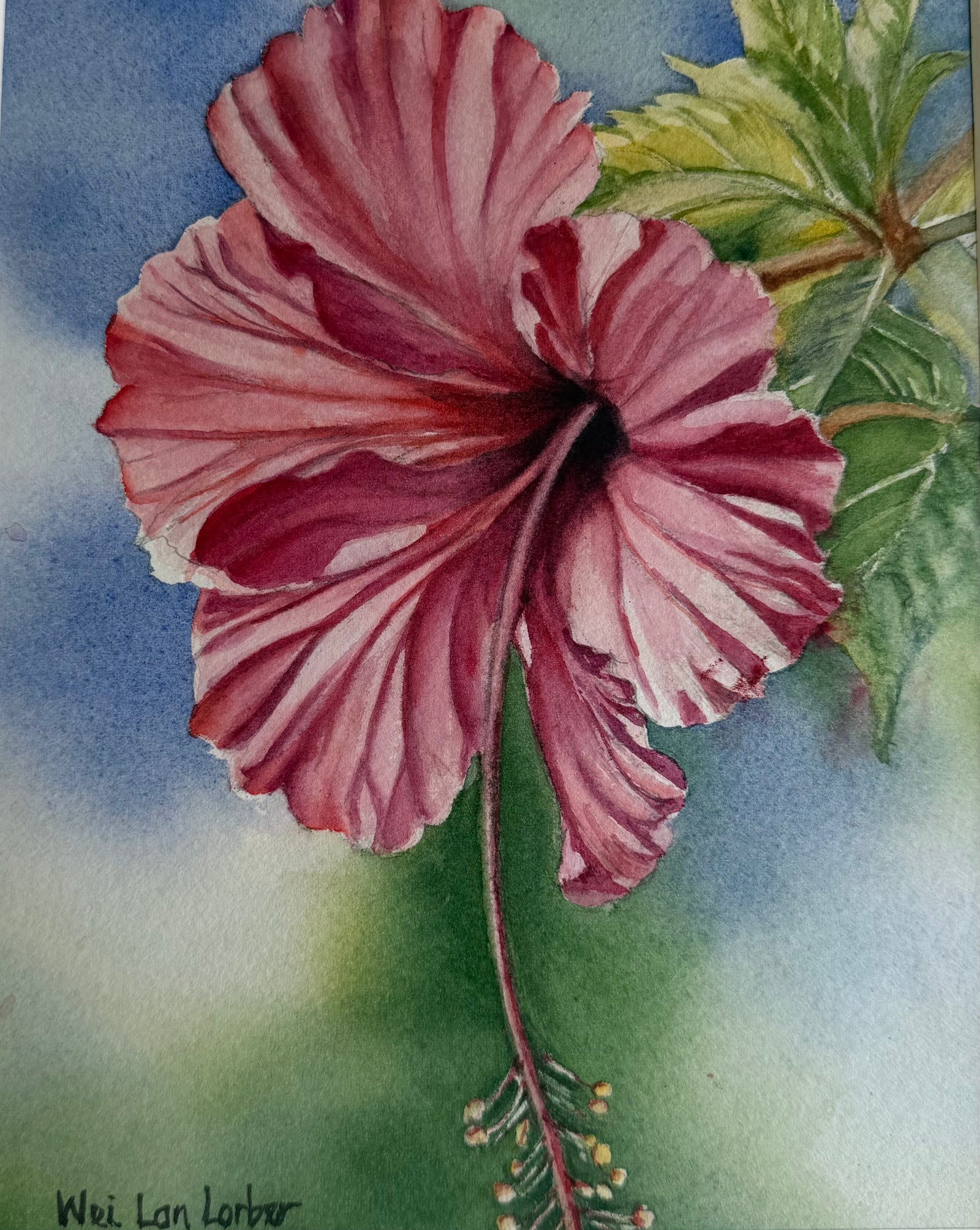 Wei Lan Lorber: "Catching the Sun"