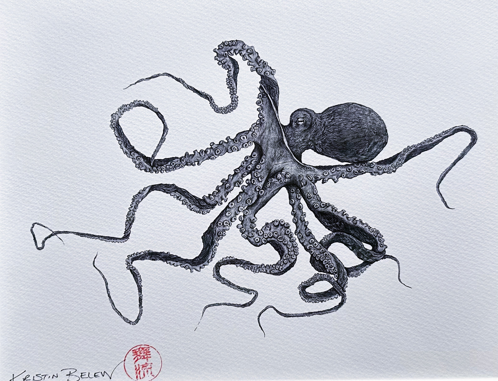 Ready-to-Frame Prints: Kristin Belew "Tako Bob" the Octopus