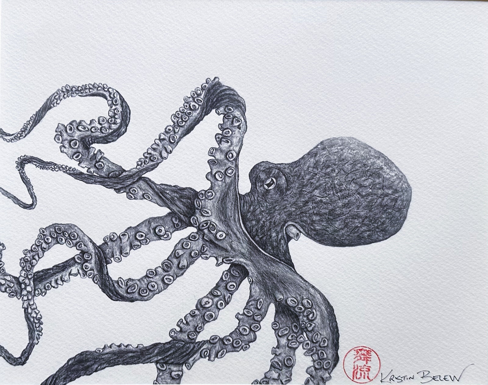 Ready-to-Frame Prints: Kristin Belew "Calypso" the Octopus