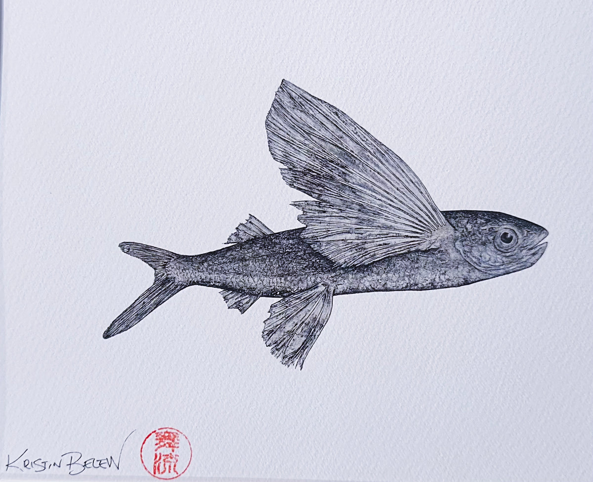 Kristin Belew: "Young Bro the Mālolo"  Gyotaku