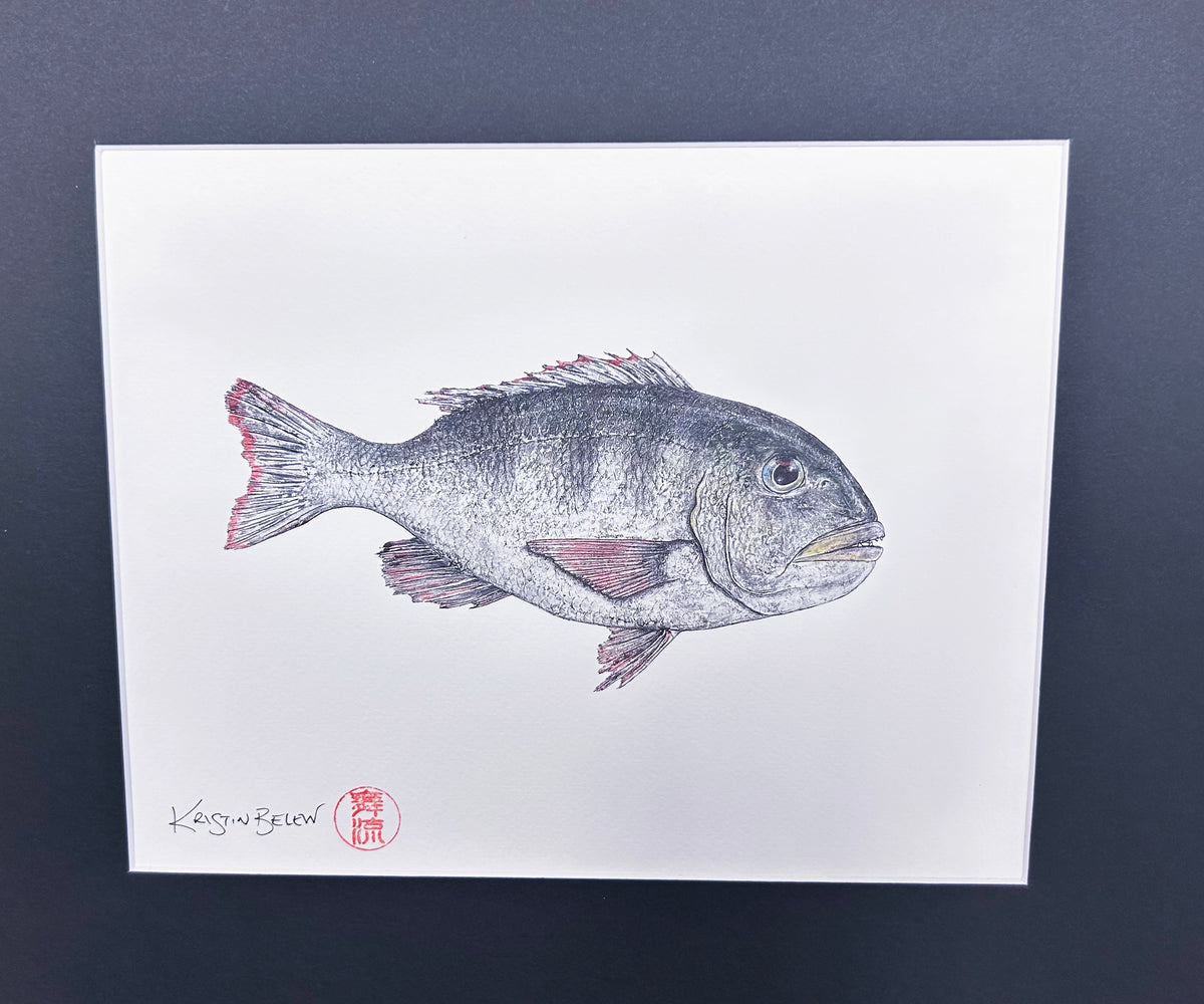 Ready-to-Frame Prints: Kristin Belew "Gabeʻs Mu" 11x14
