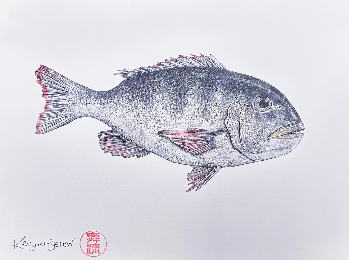 Ready-to-Frame Prints: Kristin Belew "Gabeʻs Mu" 11x14