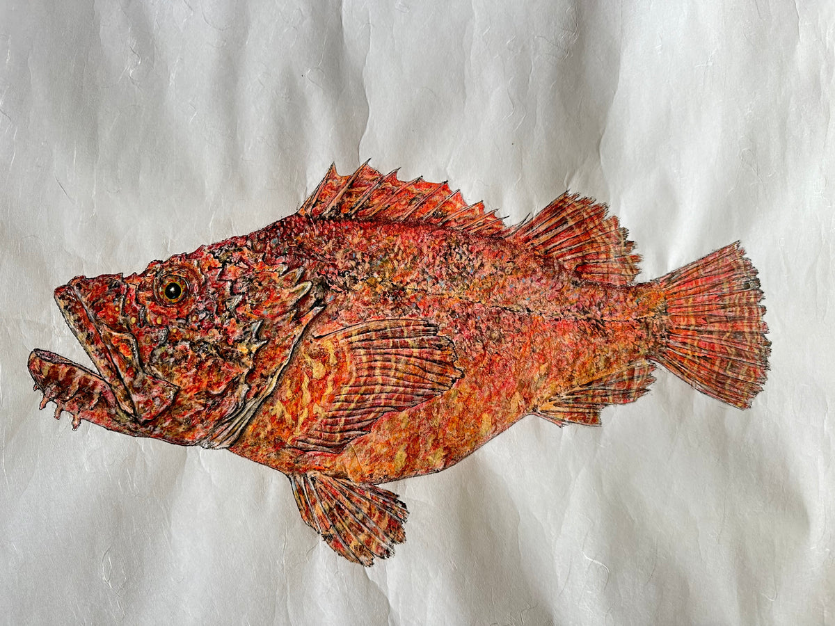 Kristin Belew: "Joemar's Nohu"